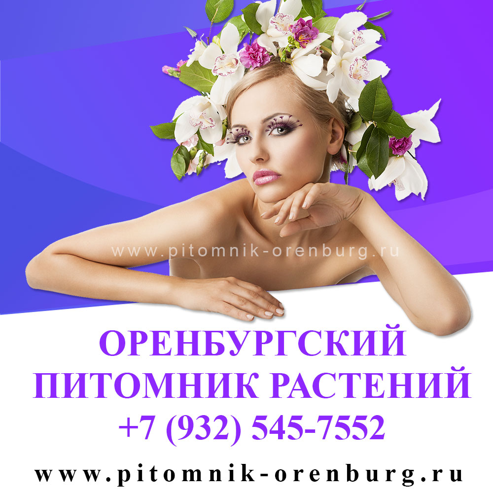 Оренбургский питомник растений плодовых и декоративных культур